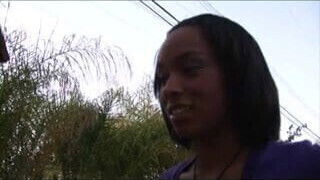 Porsche Carrera & Rock The Icon