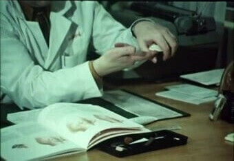 Swedish Marriage Manual (1969)