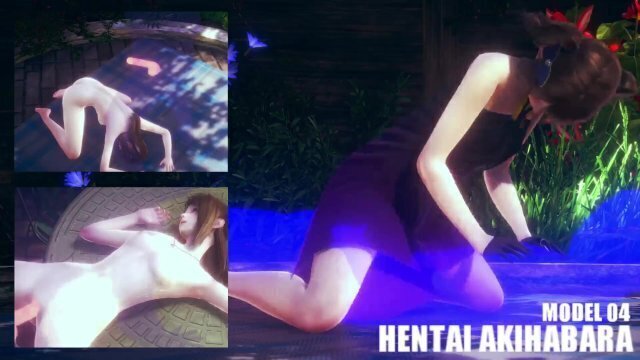 hentai akihabara model04