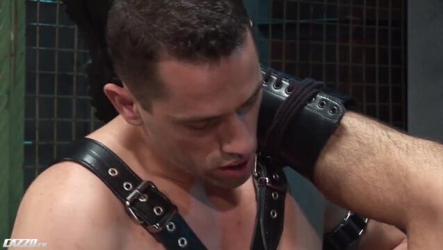 Merci Maître faire vide couilles