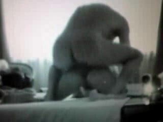 amateur motel sex in italy