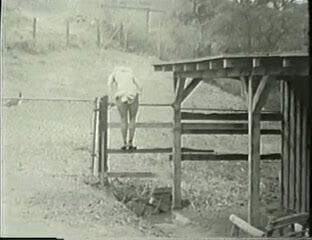 Candy Paige Coy Cuties no. 71