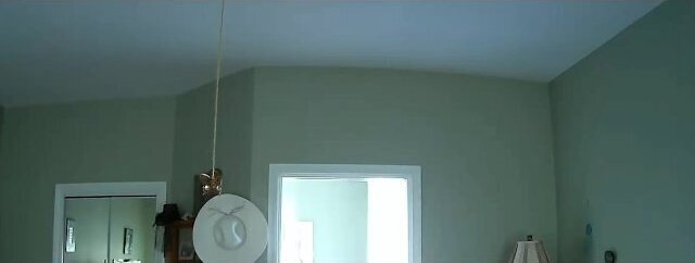 Wife Watching Porn With Black Dildo