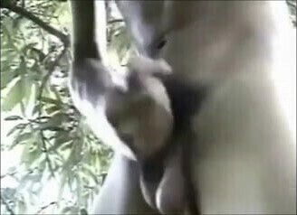 Horny Asian Outdoors