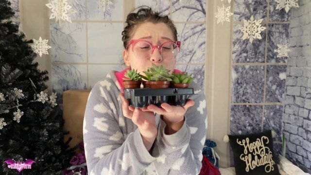 OmankoVivi Christmas Unboxing