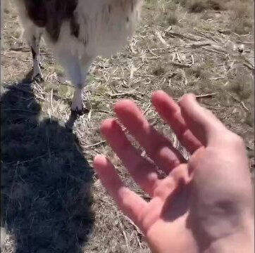 Top Ten places to get away with masturbating