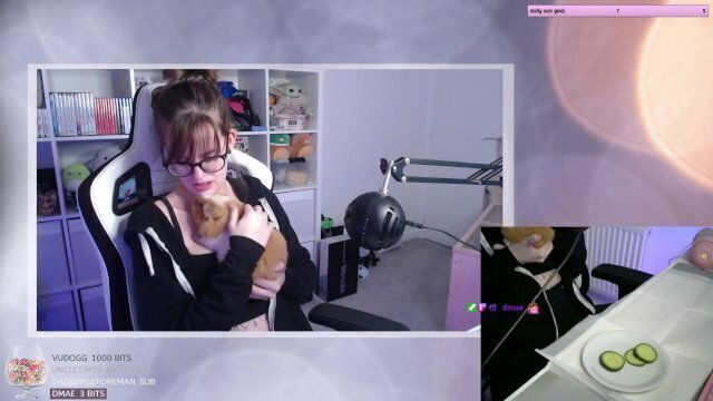 ADORABLE GIRL FEEDING CUTE GUNIEA (SHYPHOEBE)