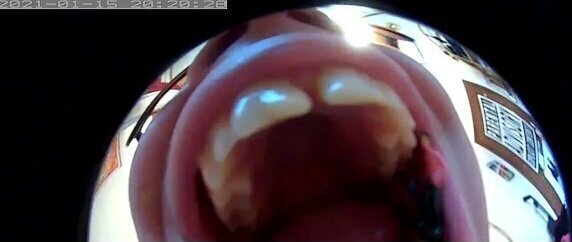 Nicoletta devours completely inside monstrous mouth! video!