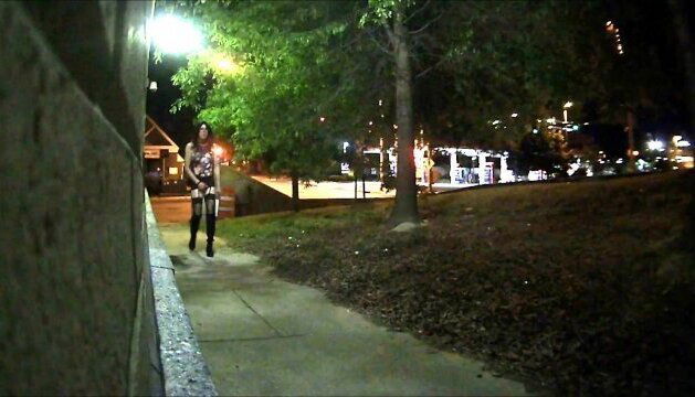 Mulberry Greene Working Corner!