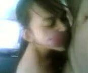 My Blow Job Collections