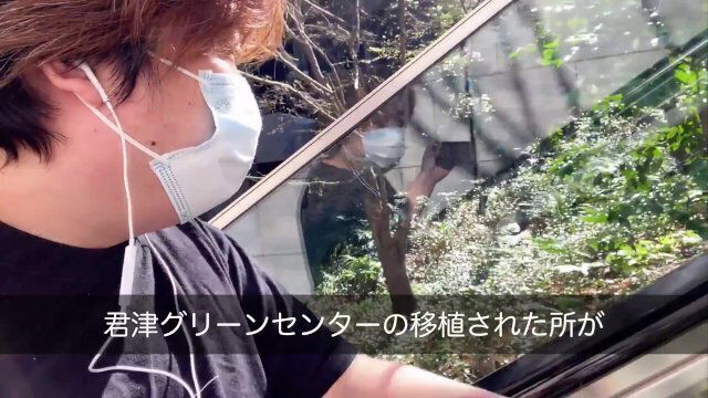 大都会のオアシスを歩く大手町100メートルの旅