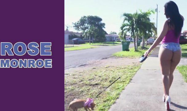 BANGBROS Rose Monroe's Simply Another Level (Like Agree)