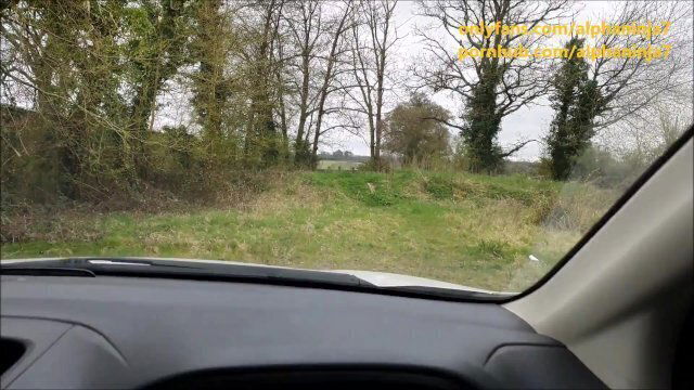 Park Deserve Blowjob