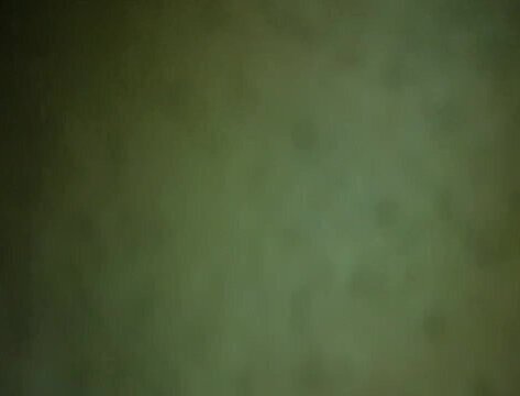 black pink pussy dripping all over the big brown dick 