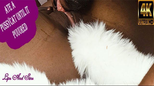 I ATE A PUSSYCAT - Lips And Sins