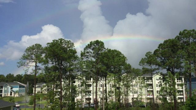 Nighttime/Daytime Bear Pounding