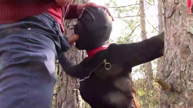 Outdoor wood. Wearing sexy clothes heels, bound, throated fucked