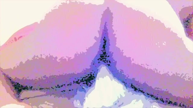 tight trans with hairy meow