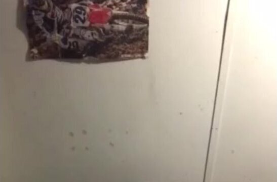 Solo Male toys arcwave