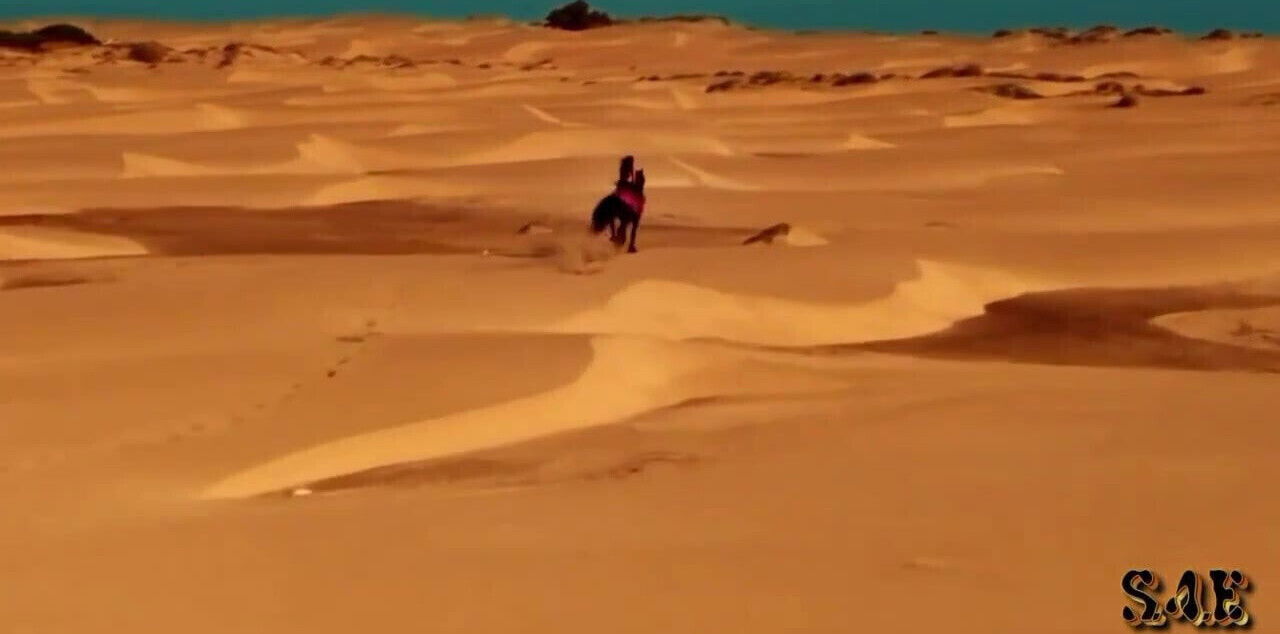 Laura Pausini 'It's Not Goodbye'