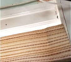 Ashley and John best fucking head. Big pussy lips