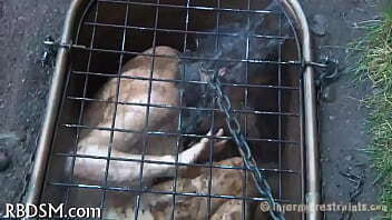 Engulfing a hard toy 10-pounder