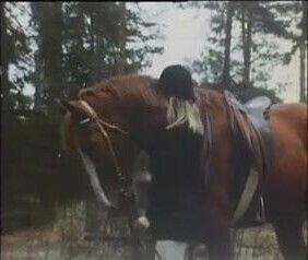 Vintage Swedish flick