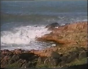 Tropical Gang Bang On The Rocks