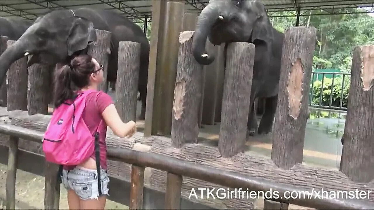 Hope Howell's glasses vacation Malaysia