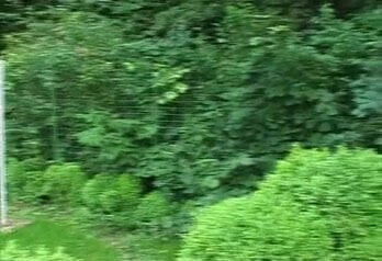 A bunch of outdoor milfs