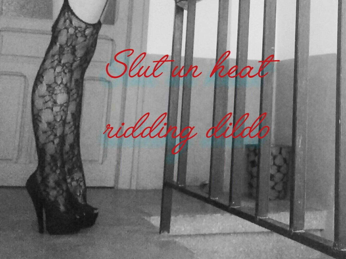 dildo ridding