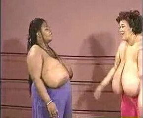 Wild Bill Boobfighters