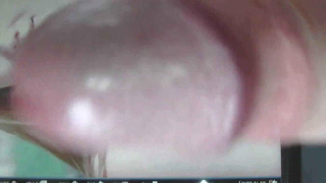 Lentl takes Tossertims load of creamy spunk