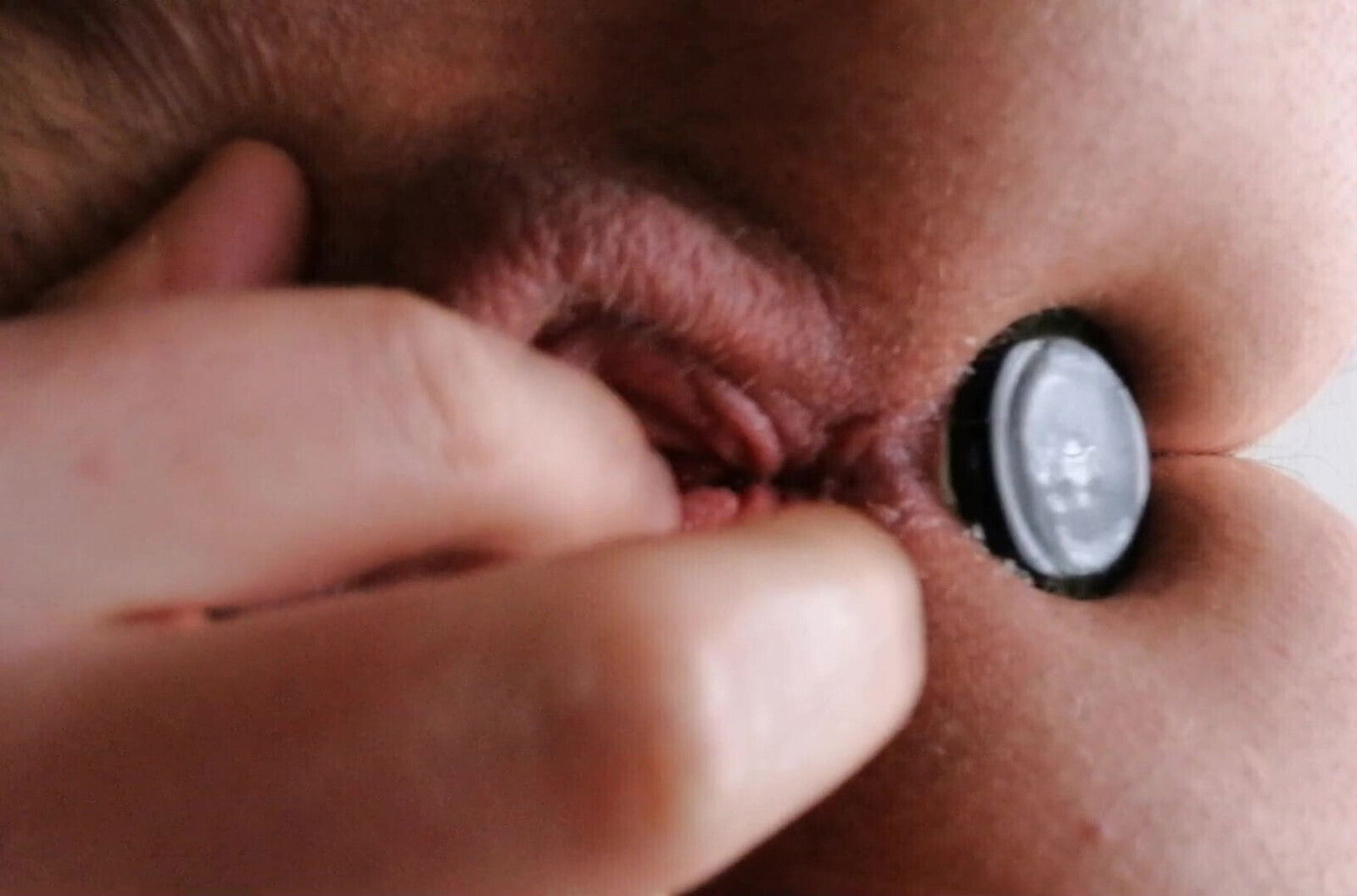 Sunday afternoon play doggy