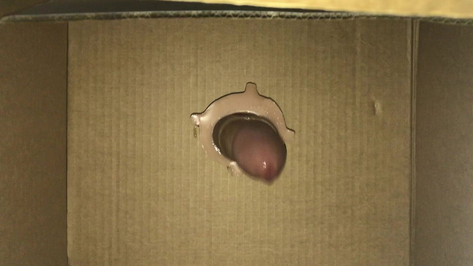 cumshot close homemade young gloryhole