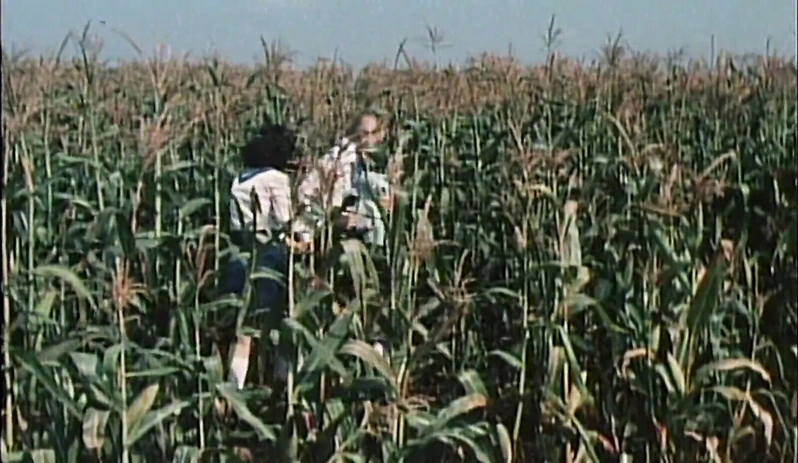 Hottest Porn Classics