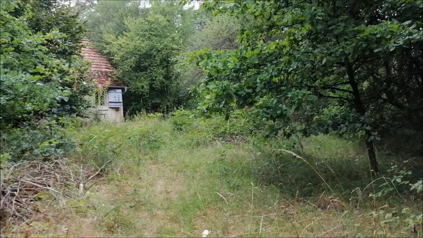 Abandoned Forest House visited jerked