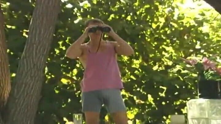 perfect strangers vintage