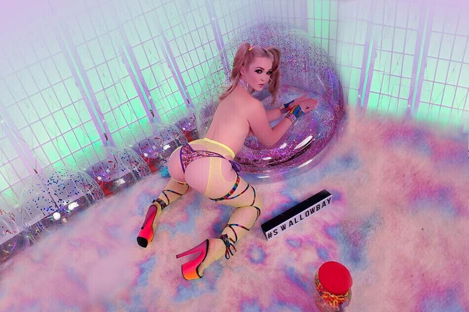 SwallowBay Swallow Till