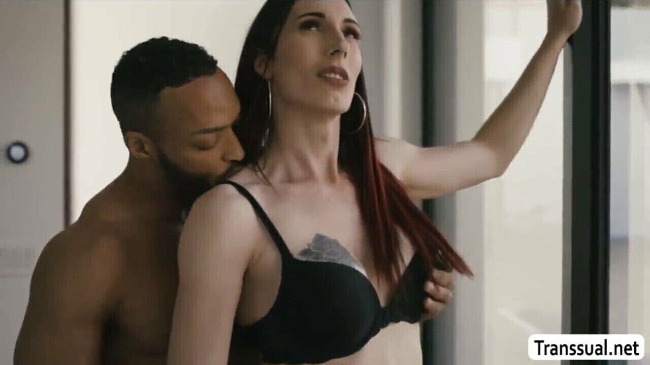 like this sexy Transsexual