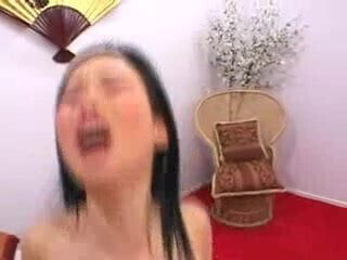 Asian Beaver 56rth54