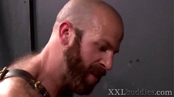 Bear with bangs jerks