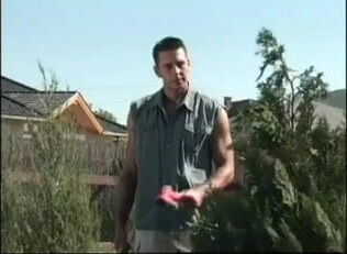 Brunette Shows Stuff