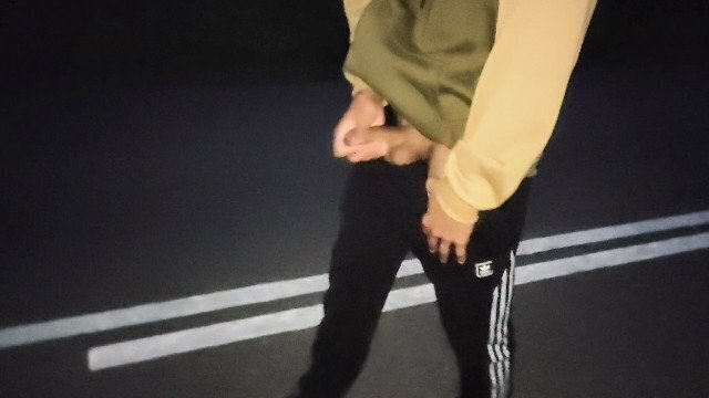 Опасная дрочка на дороге с проезжающими машинами Голый на публике