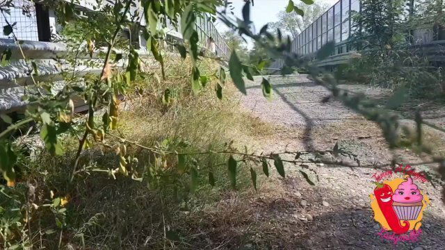 falls bike look Ladymuffin