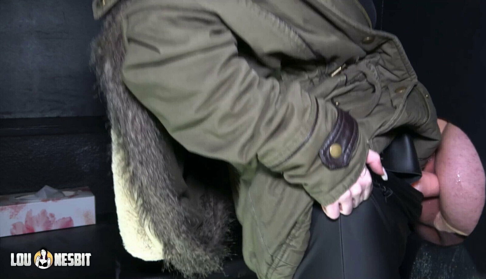 Pegging Compilation Nesbit Louise