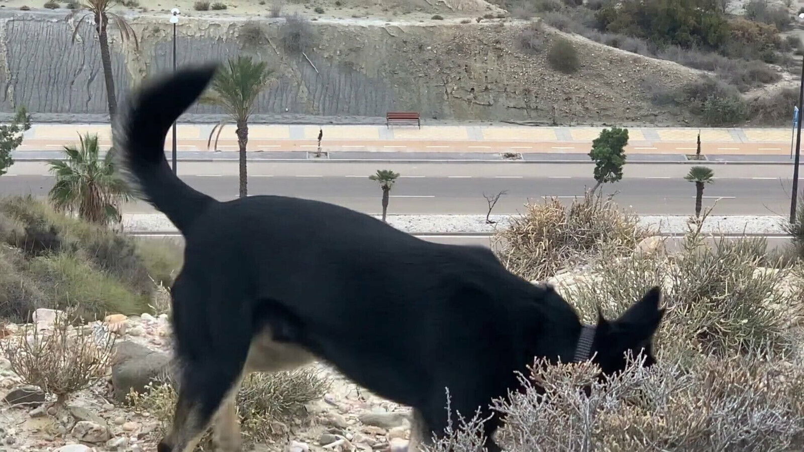 Naked Traveler (Leila Anderson) Panoramic Naked Town