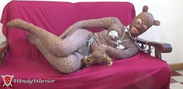 cutest kitten under lock (collar chastity belt zentai)