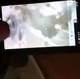 Rickie gets a tribute