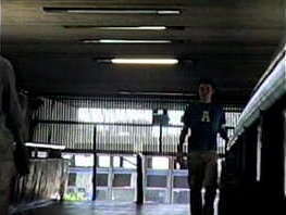 &quot_Romeo Fish Aquarium&quot_. it'_s experimental no-budget short film about sex/love/anything-like-that. Starring Zanardini, with Diogo Andrade, Divonzir Rodrigues Eskilo. Cristiano Balzan Gustavo Bitencourt